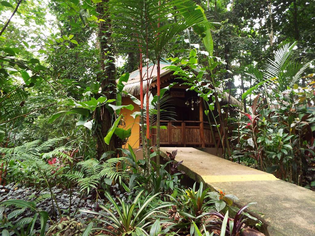 Korrigan Lodge Cahuita Zimmer foto